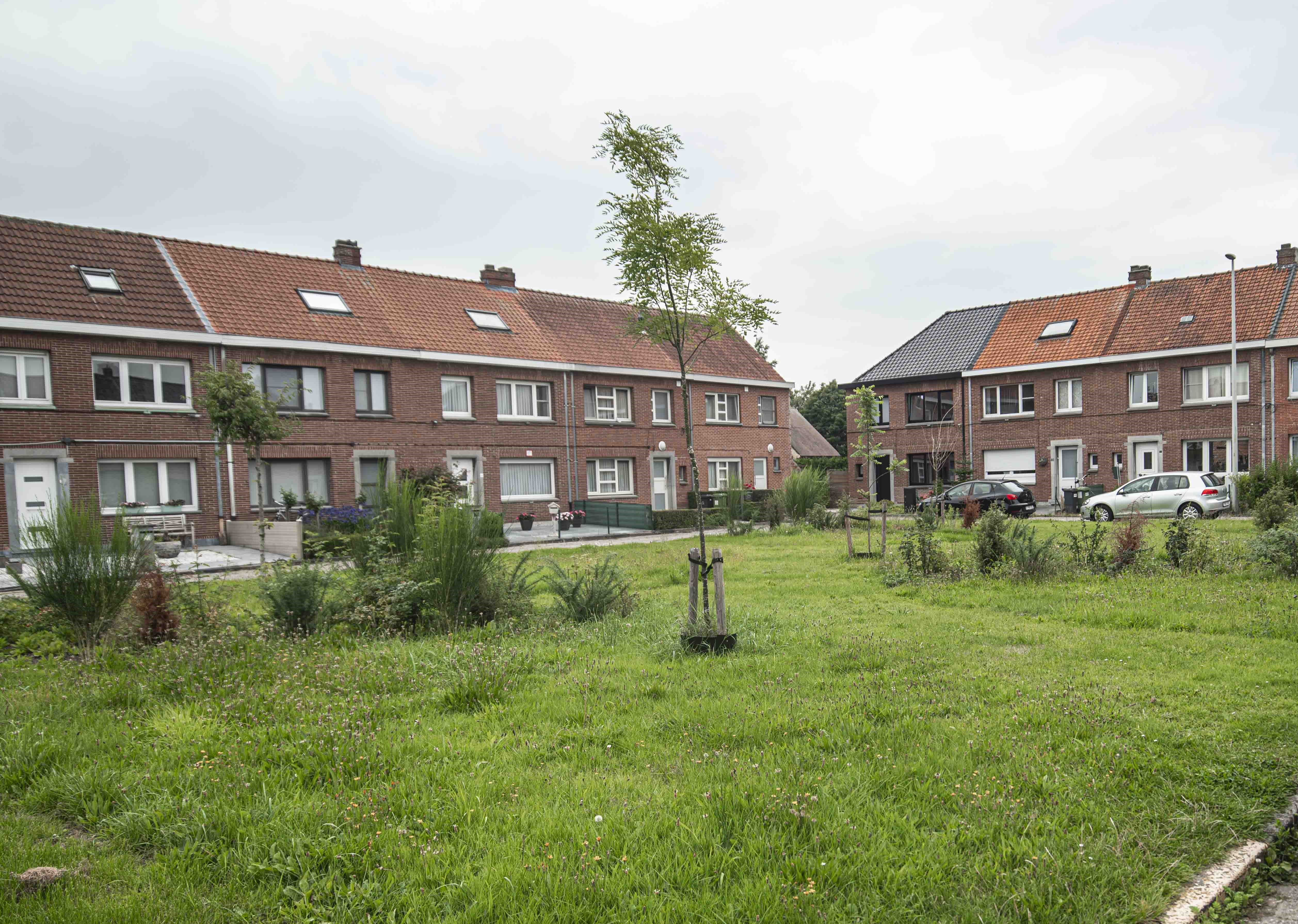 Gevelzicht Emiel van Swedenlaan eengezinswoningen Gevelzicht Emiel van Swedenlaan eengezinswoningen