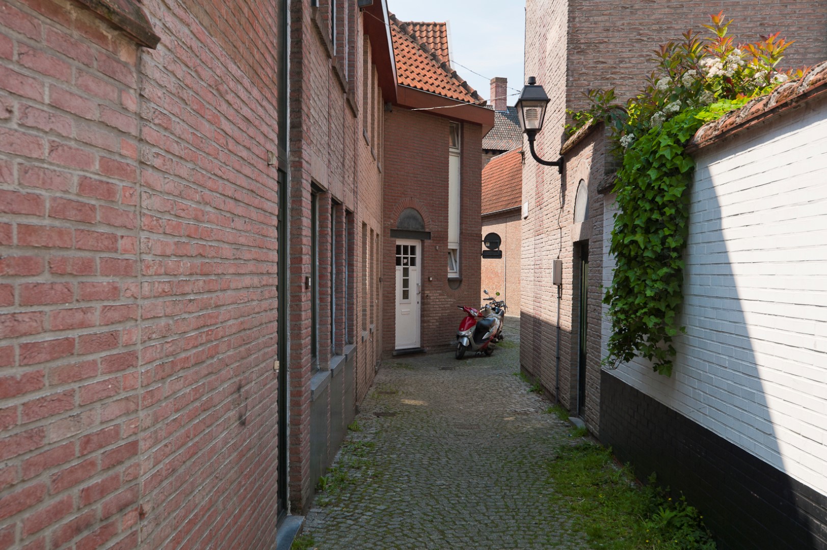 Zwaanstraat Gevelbeeld woningen in de Zwaanstraat in het Patershol